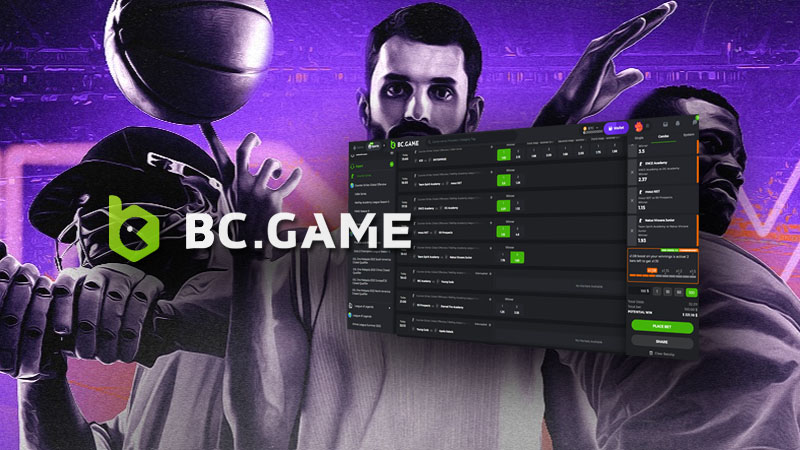 Discover the Features of the BC.Game BR App